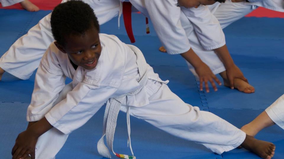 OSTMA Lions karate classes